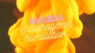 Pee Yourself For My Entertainment - Urination Encouragement - Humiliation - Audio Only