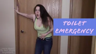 Toilet Emergency