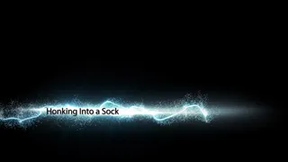 Honking Into a Sock