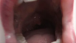MY BIG MOUTH SWALLOWS YOUR COCK AND DROOLS ON IT!