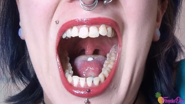 Mouth tour #2