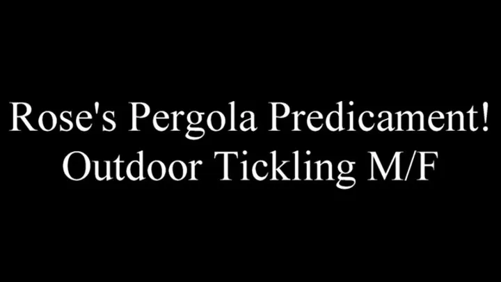 Rose's Pergola Predicament Outdoor Tickling MF