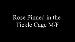 Rose Pinned in the Tickle Cage MF
