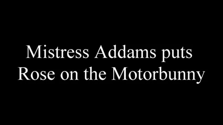Mistress Addams puts Rose on the Motorbunny(Sybian)