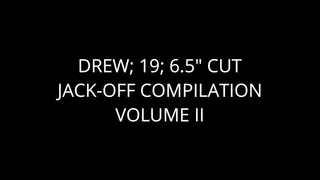 Drew: The Jack-Off Videos: Volume II