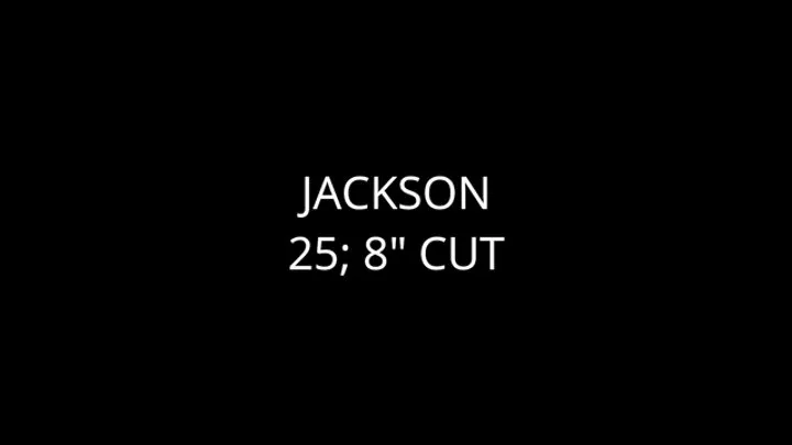 Jackson: New Beginnings