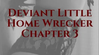 Deviant Little Home Wrecker: Chapter 3