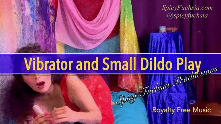 Vibrator and Small Dildo Play,