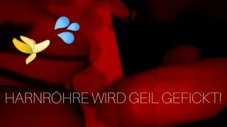 HOTEL DIRECTOR IS A PERVERSE BITCH! EXTREME DILATOR SEX - XTREME COCK SOUNDING - PAINFUL-PENIS PLUG - SEXTOY -SUBMISSION - GERMAN MISTRESS ( DIVA ZARAH )