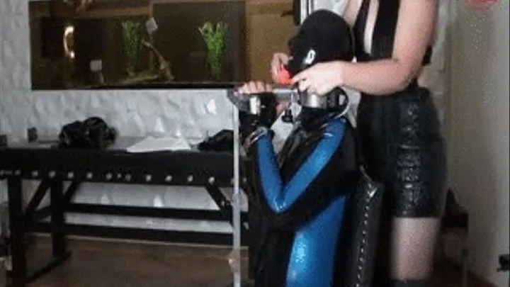 HARD COCK CONTROL!! MILF & YOUNG RUBBERSLAVE // JUNGER NEUSKLAVE WIRD VON SEINER GEBIETERIN KONTROLLIERT UND VORBEREITET!