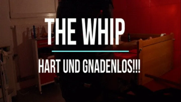 THE WHIP!!!! HART ABER GEIL