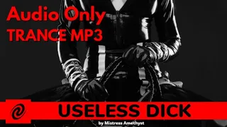 Useless Dick - Flaccid Trance MP3