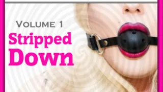 Sissy Dungeon Chronicles - Stripped Down