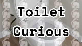 Toilet Curious