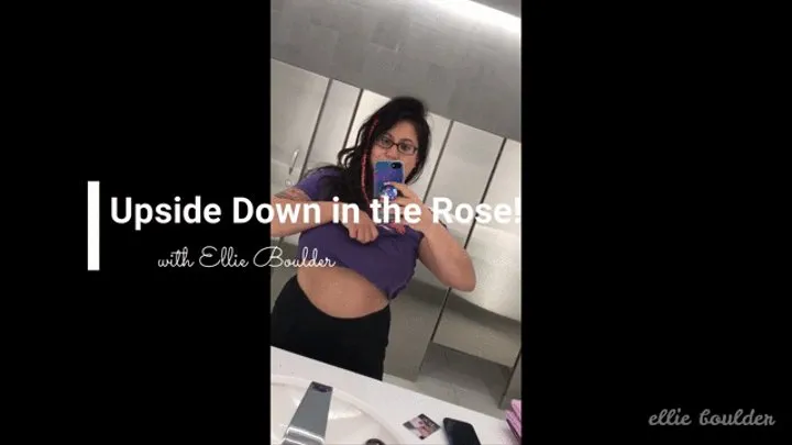 Upside Down in the Rose