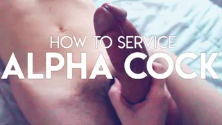 How to Service Alpha Cock!