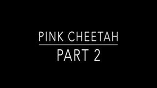 Pink Cheetah Part 2