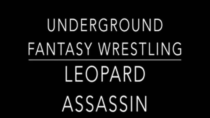 Leopard Fantasy Match