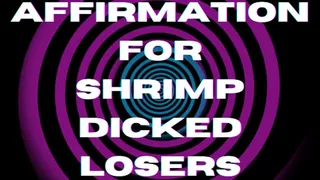 ** AFFIRMATION FOR SHRIMP DICKED LOSERS ( looped version ) **