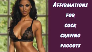 ** AFFIRMATIONS FOR COCK CRAVING FAGGOTS **