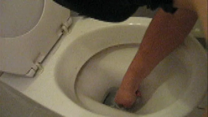 MY TOILET PIG - PART 2