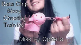 Beta Chip Sissy Chastity Training