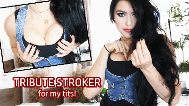 TRIBUTE STROKER for my tits! *english clip*