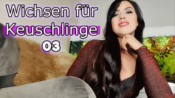 Wichsen für Keuschlinge 03 (kleine Version)