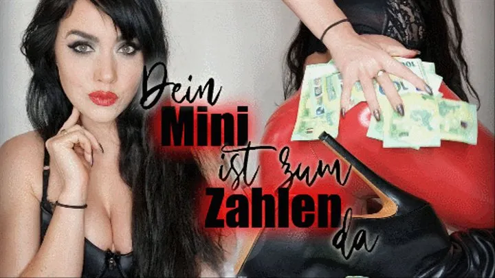 Dein Mini ist zum Zahlen da (kleine Version)