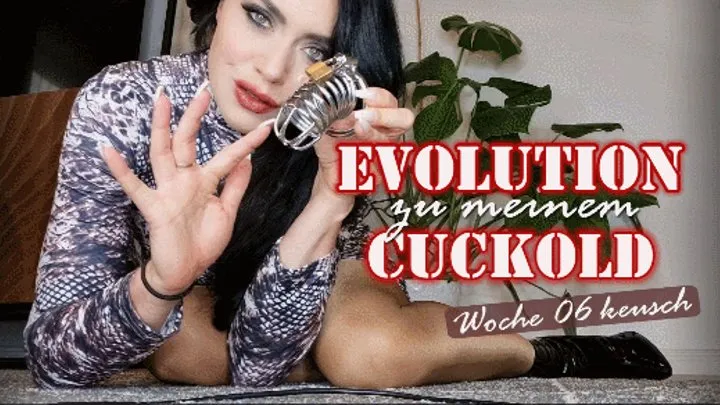 Evolution zu meinem CUCKOLD - Woche 6: Keusch