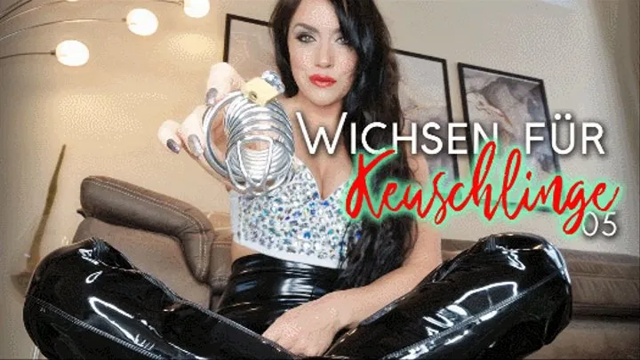 Wichsen für Keuschlinge 05 (kleine Version)