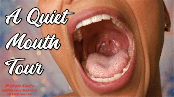 A Quiet Mouth Exploration