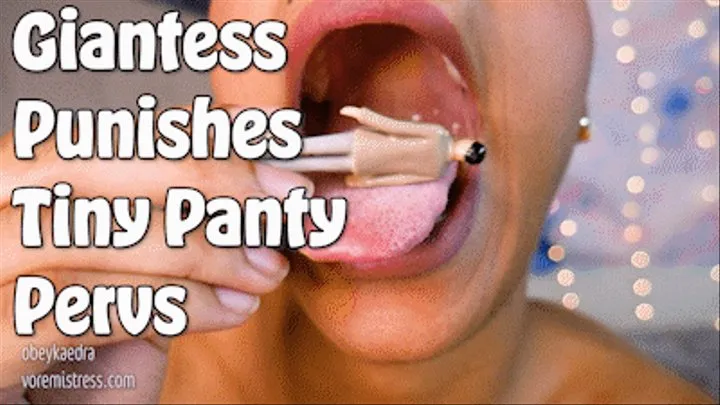 Giantess Punishes Tiny Panty Pervs