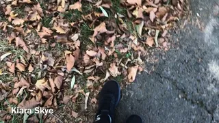Stepping On Leaves ASMR