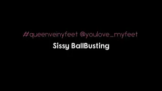 Sissy got BallBusted