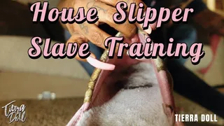 House Slipper slave training