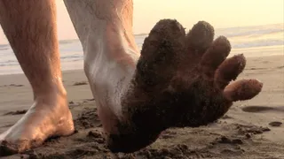 Wet Hairy Legs & Bare Sandy Feet at Sunset Beach