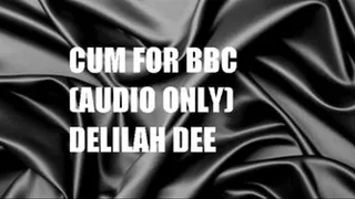 Cum For BBC - Audio Only