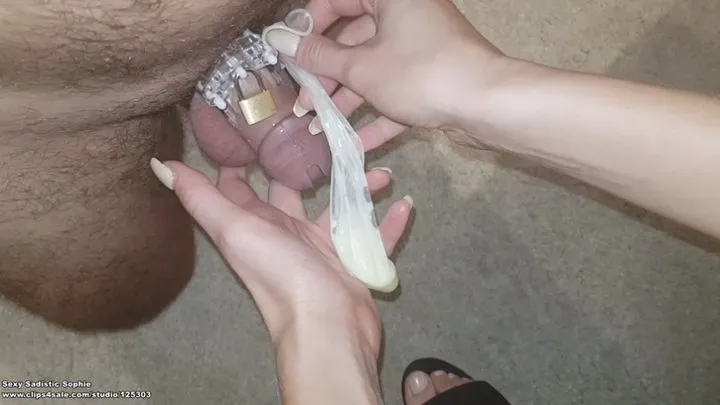 CUCKOLD LOCKED IN CHASTITY NEEDS TO WATCH ALPHA COUPLE AND EAT HOT STUD'S SPERM