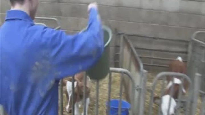 Aaron & Ethan on the Farm