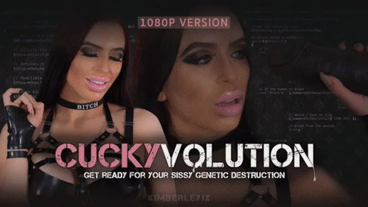 Cuckyvolution