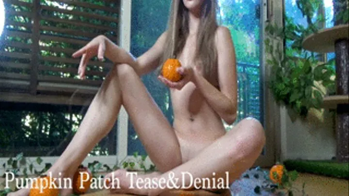 Pumpkin Patch Tease and Denial