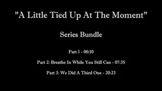 A Little Tied Up At The Moment (FULL SERIES BUNDLE)