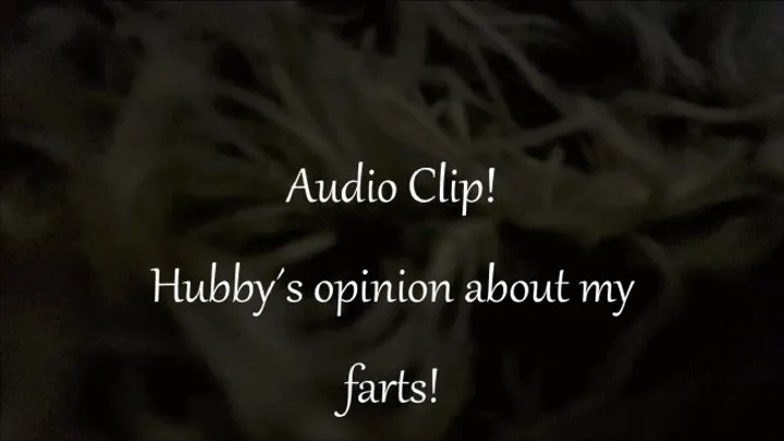 Audio Clip! Hubbys opinion about my farts