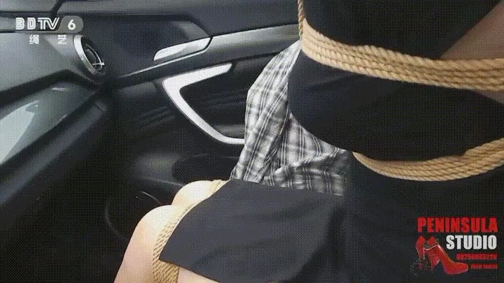 Chinese beaulty Haiyu tickling in car