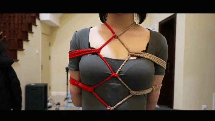 YT989 Two Colors Symmetrical Bondage