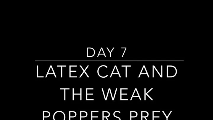 Latex cat lures in the prey