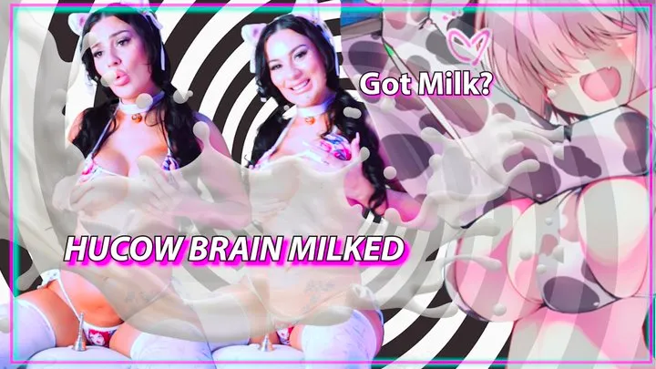 Hucow Brain Milked