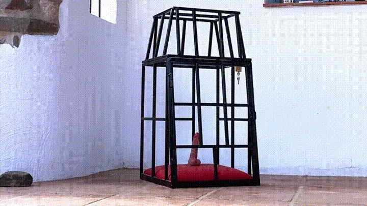 Caged - Part 1