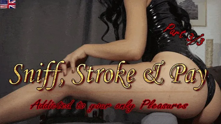 Sniff, Stroke & Pay III - Addicted to your only Pleasures